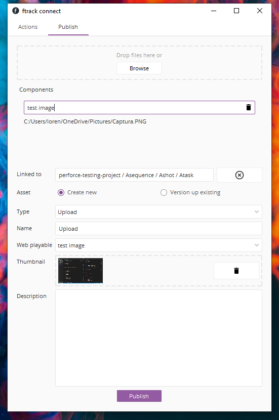 _images/connect-publish.PNG